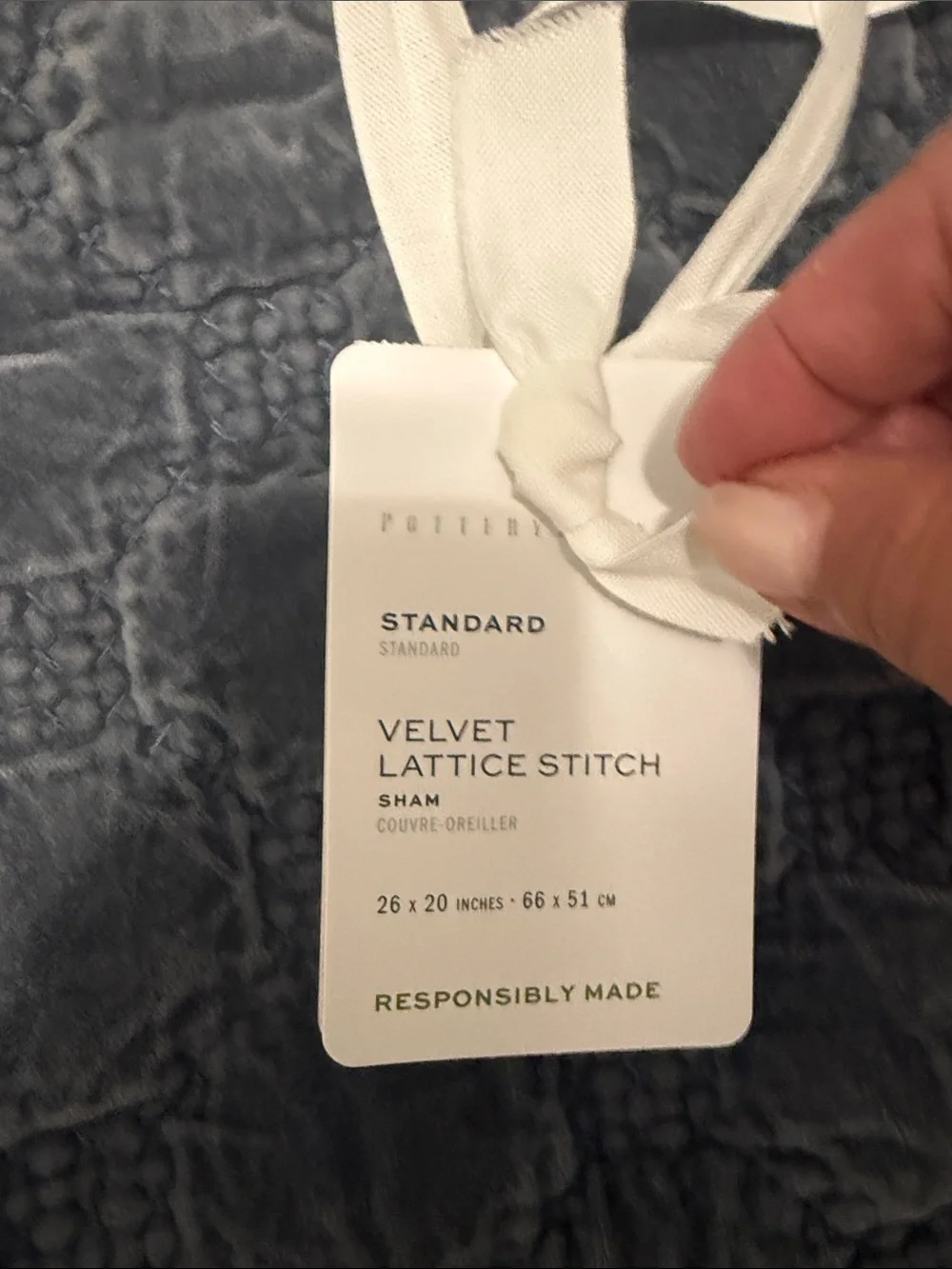 Pottery Barn velvet sham